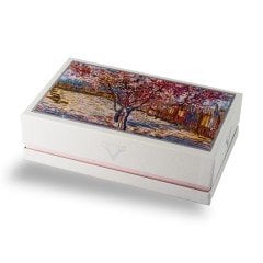 Van Gogh Souvenir De Mauve FP