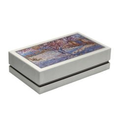 Visconti Van Gogh Souvenir De Mauve FP