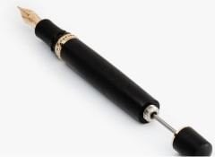 Homo Sapiens Lava Bronze Over FP