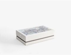 Van Gogh  Old Vineyard With Peasant Woman