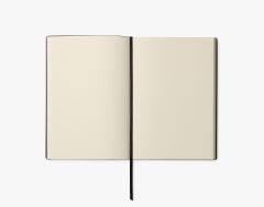 Journal Homo Sapiens 145x210mm